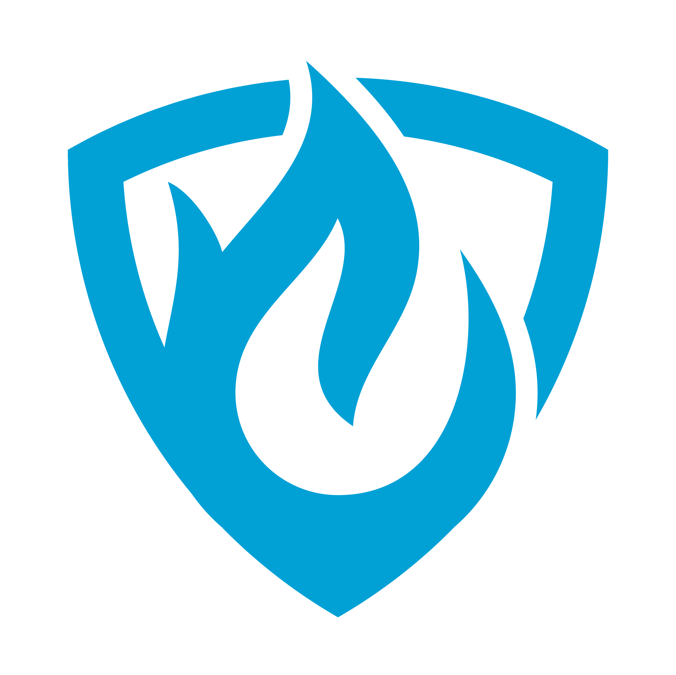 LJR Fire & Security Group Icon